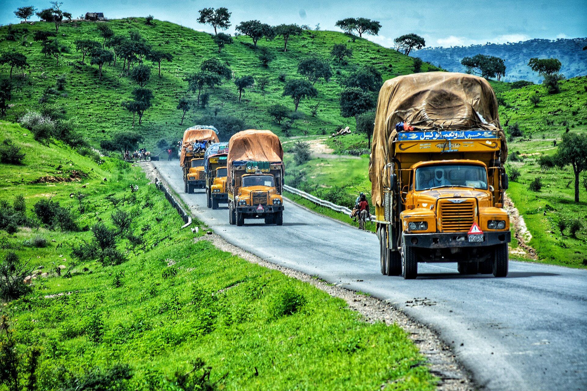 TRANSPORT BUS